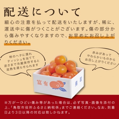 富有柿 5kg箱 (L～2Lサイズ)
