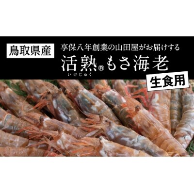 鳥取県産 生食用もさ海老 山田屋