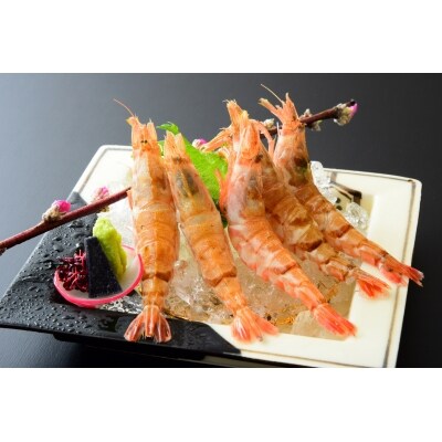 鳥取県産 生食用もさ海老 山田屋