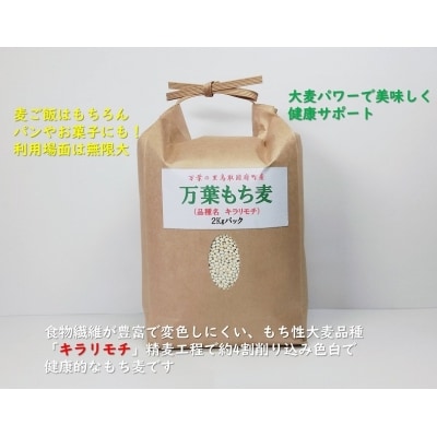 万葉の里鳥取市国府町産「万葉もち麦」2kg