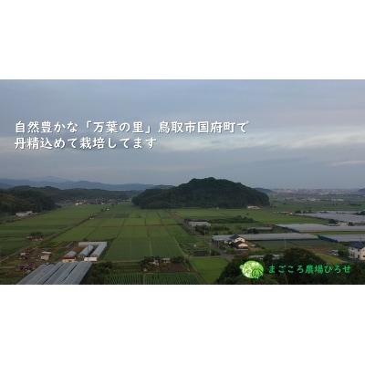 万葉の里鳥取市国府町産「万葉もち麦」2kg