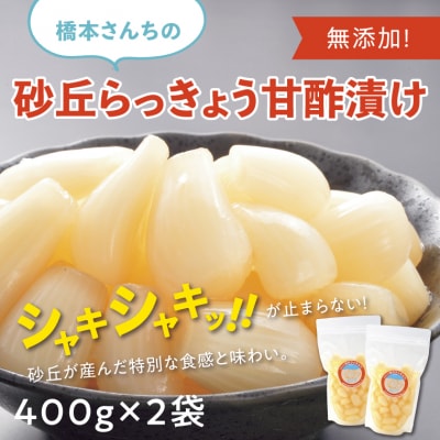 橋本さんちの砂丘らっきょう甘酢漬け 800g