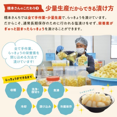 橋本さんちの砂丘らっきょう甘酢漬け 800g