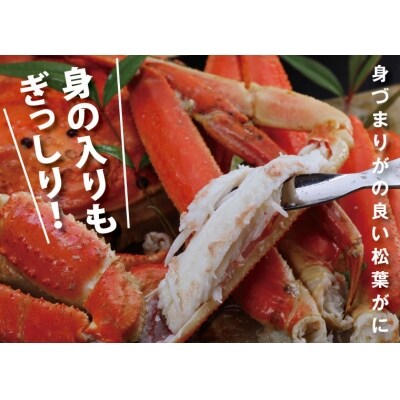 鳥取賀露港 訳あり浜茹で松葉がに 大 1枚(かねまさ・浜下商店)