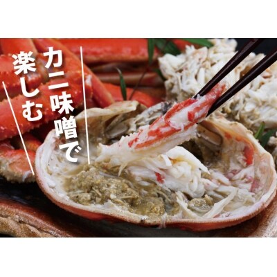 鳥取賀露港 訳あり浜茹で松葉がに 大 1枚【かねまさ・浜下商店】