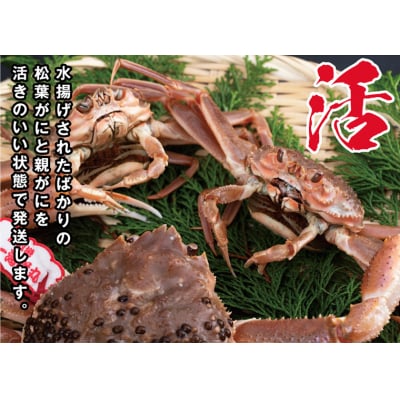鳥取県産 生夫婦がに【中村商店】