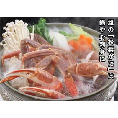 鳥取県産 生夫婦がに【中村商店】
