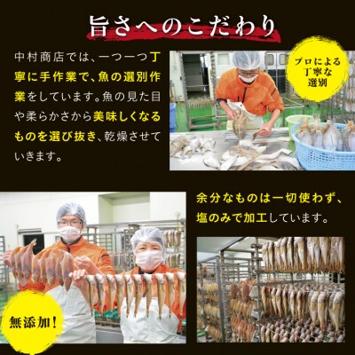 山陰のおすすめ干物セット【中村商店】