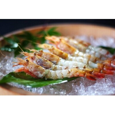 鳥取県産 冷凍もさえび 中村商店 お礼品詳細 ふるさと納税なら さとふる 鳥取県産 冷凍もさえび 中村商店 お礼品詳細 ふるさと納税なら さとふる