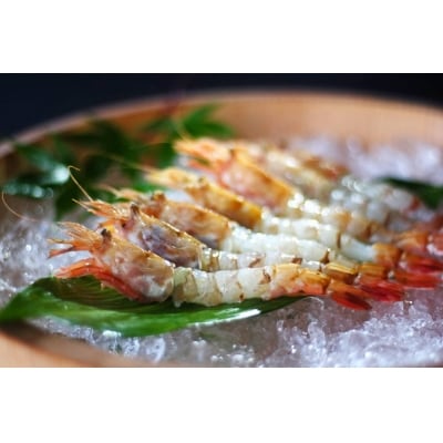 鳥取県産 冷凍もさえび【中村商店】