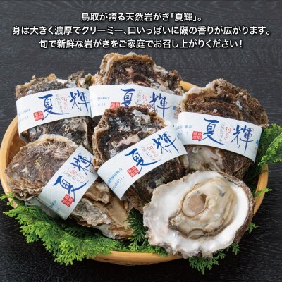 鳥取県産 岩がき「夏輝」【中村商店】