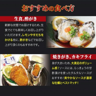 鳥取県産 岩がき「夏輝」【中村商店】