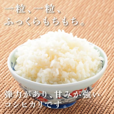 有機栽培米
