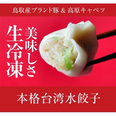 台湾水餃子(豚水餃子)60個セット
