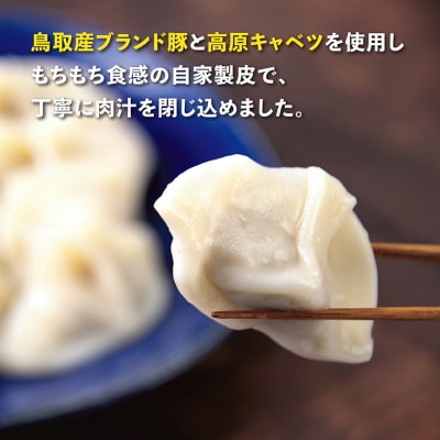 台湾水餃子 豚水餃子 30個入り