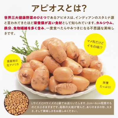 アピオス健康セット