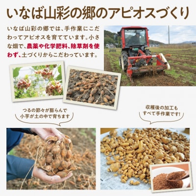 アピオス健康セット
