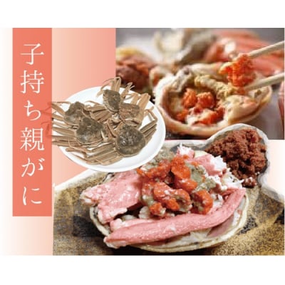 特選とっとりセコガ二 (親ガニ)10枚セット【山根商店】