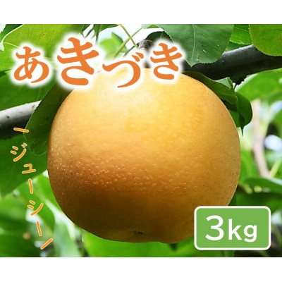 あきづき 3kg【やぶやフルーツガーデン】