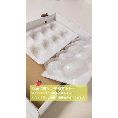 鳥取県新ブランド苺「とっておき」大粒詰め合わせ【苺工房たけうち】