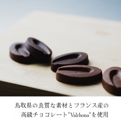 抹茶生チョコレートセット(16個入)