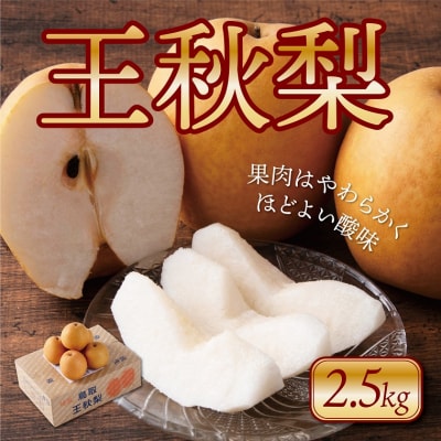 王秋梨 2.5kg【たにがみ農園】