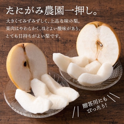 王秋梨 2.5kg【たにがみ農園】