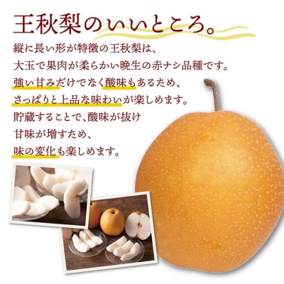 王秋梨 2.5kg【たにがみ農園】
