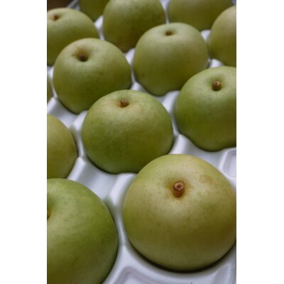 二十世紀梨 2.5kg【たにがみ農園】