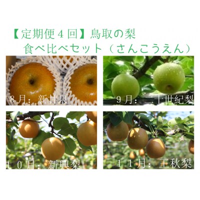 【定期便4回】鳥取の梨食べ比べセット (各種3kg箱)