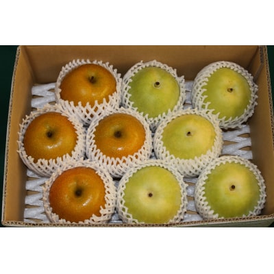 新甘泉梨と二十世紀梨詰め合わせ 3kg (玉数は合わせて約6～10玉)