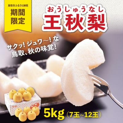 王秋梨 5kg【やぶやフルーツガーデン】