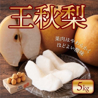 王秋梨 5kg【たにがみ農園】