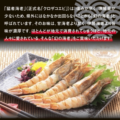 猛者海老 15匹×2パックセット【山根商店】