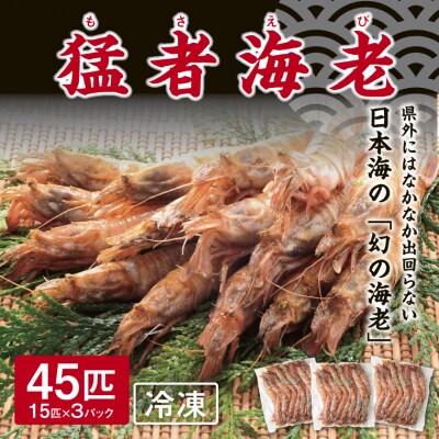 猛者海老 15匹×3パックセット【山根商店】