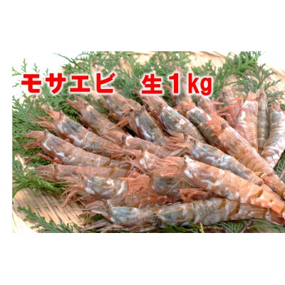 【魚倉】モサエビ 生1kg (中～大サイズ)