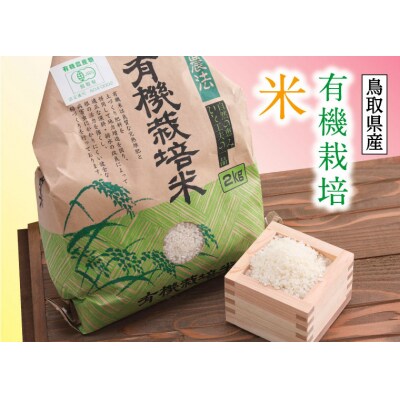 有機JAS認定 冬野菜とお米の詰め合わせセット