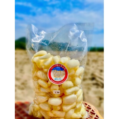 橋本さんちの生洗いらっきょう 1kg