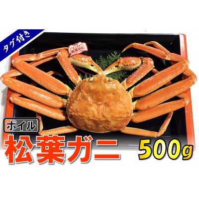 【魚倉】タグ付きボイル松葉ガニ(並500g)