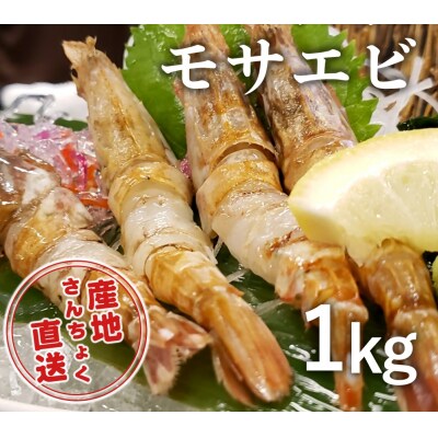 <真空冷凍>幻の海老!猛者エビ(モサエビ) 1kg(さんチョク)