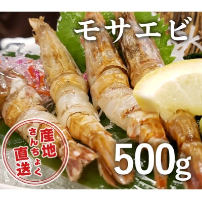<お手軽パック>幻の海老!猛者エビ(モサエビ) 500g(さんチョク)