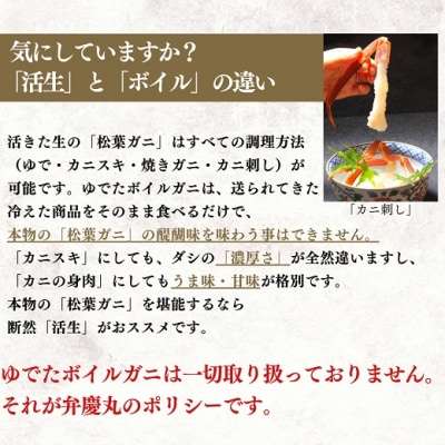松葉ガニ活生「特々大1枚」ブランドタグ付き※着日指定不可※【弁慶丸】