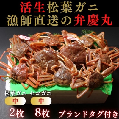 松葉ガニ夫婦 Bセット ブランドタグ付き※着日指定不可※【弁慶丸】