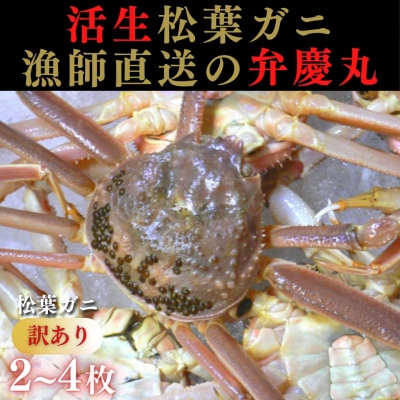 松葉ガニ 訳ありAセット※着日指定不可※【弁慶丸】