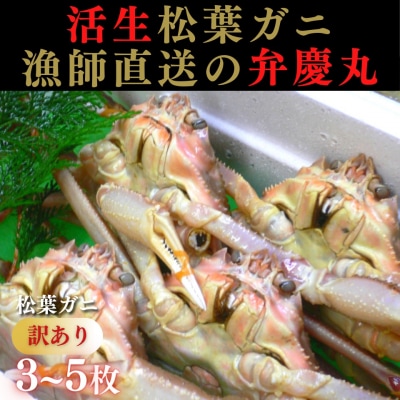 松葉ガニ 訳ありBセット※着日指定不可※【弁慶丸】