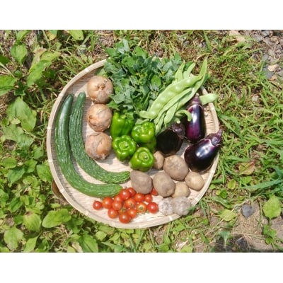 自然栽培の野菜詰め合わせ