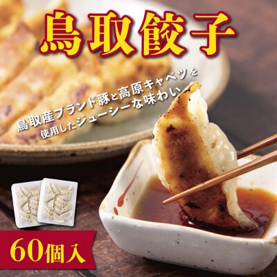 鳥取餃子 鳥取県産ブランド豚使用 60個セット (30個入り×2パック)