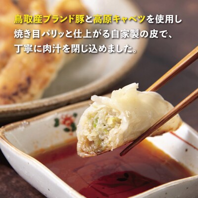 鳥取餃子 鳥取県産ブランド豚使用 60個セット (30個入り×2パック)