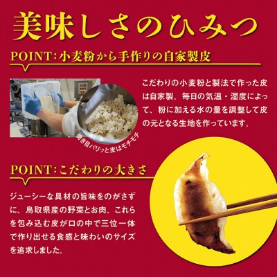 鳥取餃子 鳥取県産ブランド豚使用 60個セット (30個入り×2パック)