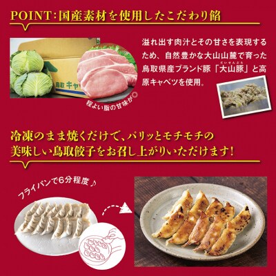 鳥取餃子 鳥取県産ブランド豚使用 60個セット (30個入り×2パック)